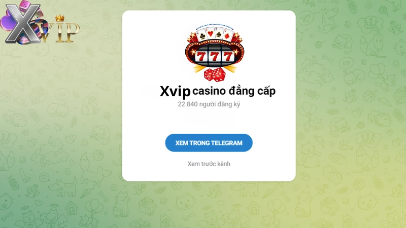 Các kênh liên hệ Xvip